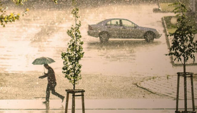 Le printemps 2024 est le plus arrosé depuis 2008
