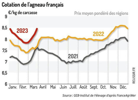 Le cours de l&rsquo;agneau fran&ccedil;ais devrait atteindre un nouveau record pour P&acirc;ques | Actualit&eacute; B&eacute;tail | Scoop.it