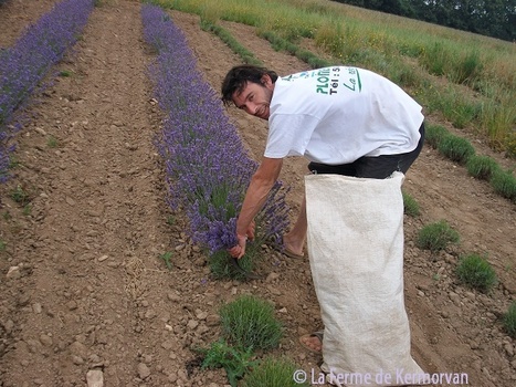 [Ecouter] Interview de Clément Pallier, distillateur breton à la Ferme de Kermorvan - France Bleu | La Cabane aux Arômes | Scoop.it