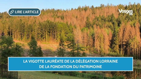 La Vigotte lauréate de la délégation Lorraine de la Fondation du patrimoine | Vosges Télévision | La SELECTION du Web | CAUE des Vosges - www.caue88.com | Scoop.it