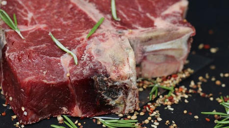 Pour 81 % des Français, la production de viande impacte l'environnement | Actualité Bétail | Scoop.it