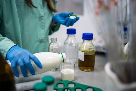 First Lab-Grown Whole Cow’s Milk To Debut In The U.S. | AGROALIMENTAIRE | Scoop.it
