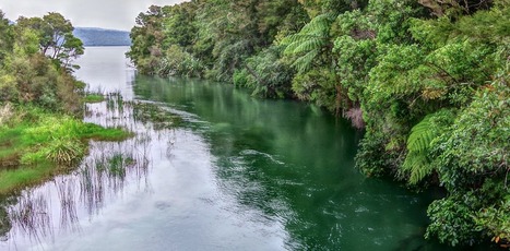 Six ways to improve water quality in New Zealand's lakes and rivers | Curtin Global Challenges Teaching Resources | Scoop.it