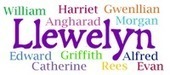 Sibling Spotlight for Llewelyn - British Baby Names | Name News | Scoop.it