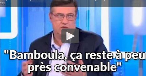 Un syndicaliste policier affirme que "Bamboula, &ccedil;a reste &agrave; peu pr&egrave;s convenable" comme insulte, Le Roux condamne | ACTUALIT&Eacute; | Scoop.it