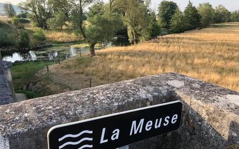 De A comme AMM à Z comme Zone non traitée : petit glossaire des ZNT | GREENEYES | Scoop.it