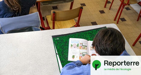 À l’école, un verdissement qui peine à prendre racine | L'actualité de la politique de la ville | Scoop.it