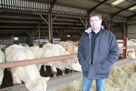 Les éleveurs vendéens ont perdu avec la Pac | La Gazette des abattoirs | Scoop.it