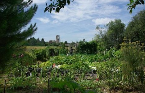 Le potager de Jean-Marc Muller : trente ans sans pesticide - Jardins de France | GREENEYES | Scoop.it