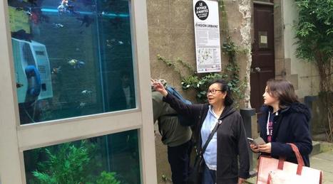 Voyage à Nantes. La cabine-aquarium, coup de coeur des visiteurs | Voyage à Nantes | Scoop.it