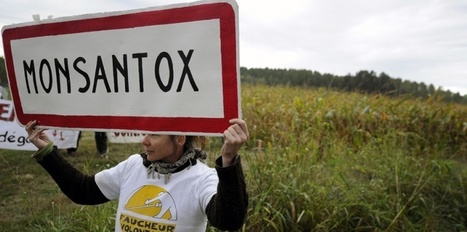 Monsanto se met au bio, Le Foll s'inquiète de ses intentions | Toxique, soyons vigilant ! | Scoop.it