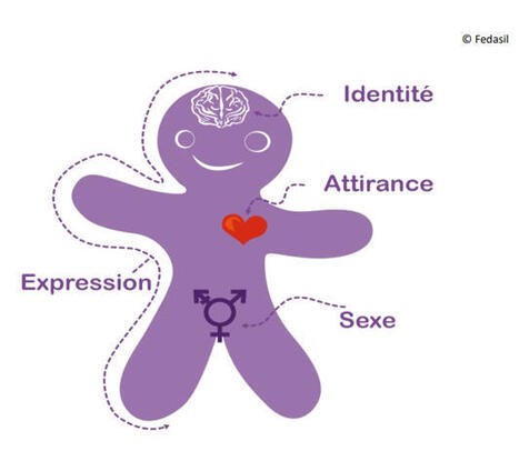 L'identité de genre, c'est quoi ? | Veille Éducative - L'actualité de l'éducation en continu | Scoop.it
