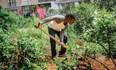 V&eacute;g&eacute;talisation : ensemble, prot&eacute;ger la nature en ville - Observateur OCDE | Nature en ville | Scoop.it