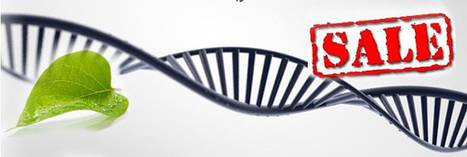 La cour suprême américaine refuse de breveter l'ADN | Economie Responsable et Consommation Collaborative | Scoop.it