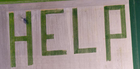 Mal-être au champ : pourquoi les agriculteurs sont-ils plus à risque de suicide ? | Revue de presse économique du Sud Touraine | Scoop.it