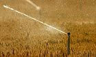 Global food crisis looms as climate change and population growth strip fertile land | YOUR FOOD, YOUR ENVIRONMENT, YOUR HEALTH: #Biotech #GMOs #Pesticides #Chemicals #FactoryFarms #CAFOs #BigFood | Scoop.it