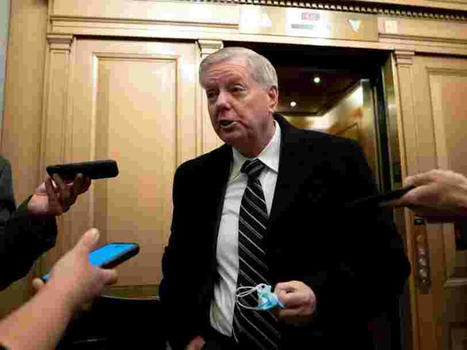 Lindsey Graham says Republicans 'don't have a snowball's chance in hell' of regaining Senate majority without Trump - BusinessInsider.com | Agents of Behemoth | Scoop.it