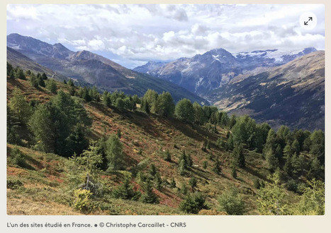 "Nous avons été surpris par l'ampleur du résultat" : une nouvelle étude pointe l'impact majeur de l'homme sur la baisse de la biodiversité | Revue de presse | Scoop.it