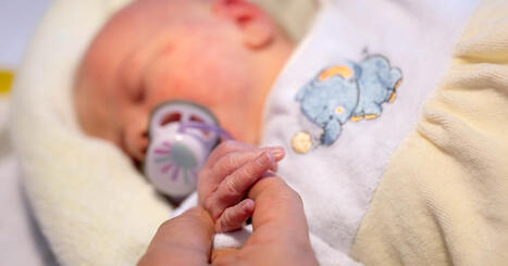 En France, la natalit&eacute; continue de chuter &ndash; | @ZeHub | Scoop.it