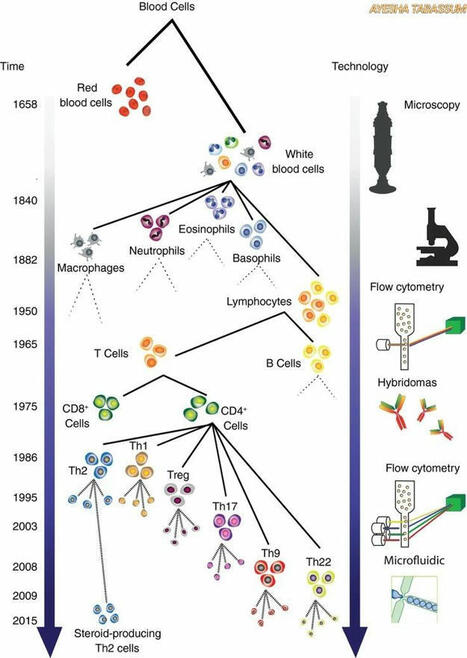 Ayesha Tabassum A. on LinkedIn: #microbiology #biotech #science #biochemistry #zoology #immunology… | History of Immunology | Scoop.it