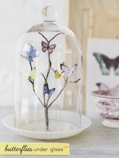 Campana di vetro con farfalle | Fai da te hobby | Scoop.it