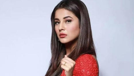 Shehnaz Gills performs Giddah with family as she visits home-Entertainment News , | Latest BOLLYWOOD movie news reviews | Scoop.it