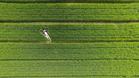 The best drone photography of 2015, from all over the world | Everything Photographic | Scoop.it