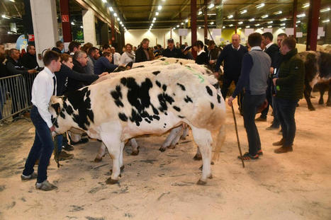 Les AgriDays sont de retour apr&egrave;s 5 ans d&rsquo;absence! | Ecod&eacute;veloppement territorial | Scoop.it