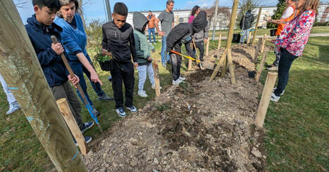 Vosges. Verger gourmand au Plateau de la Justice à Epinal : des collégiens aident à la plantation | veille territoriale | Scoop.it