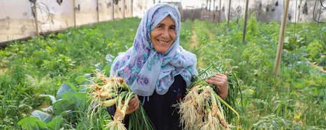 FAO and Ireland launch new project to advance the right to food in conflict contexts and protracted crises | CIHEAM Press Review | Scoop.it