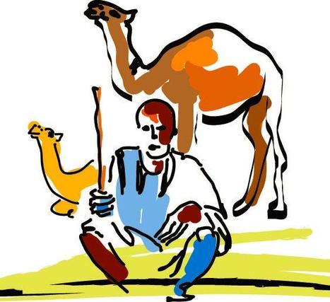 Le commerce des chameaux et le risque d'introduction de la fièvre de la vallée du Rift en Égypte | EntomoNews | Scoop.it