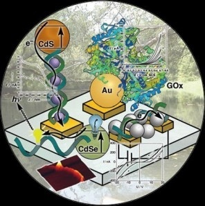 Adit Israël : "Bioélectronique | Logique et ADN, des circuits macromoléculaire ?.. | Ce monde à inventer ! | Scoop.it