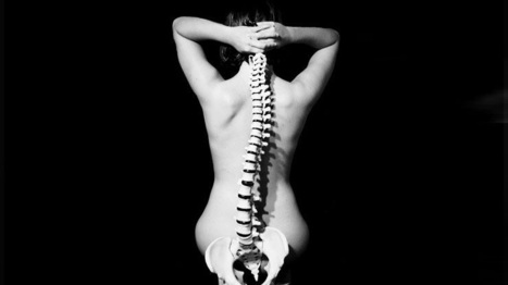 The Spine - How it Works, What Can Go Wrong and How To Make It Stronger. | SELF HEALTH + HEALING | Scoop.it
