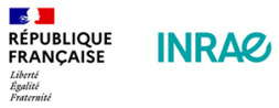 SIDDT Système d'Information Dédié aux Territoires | veille quotidienne | Scoop.it