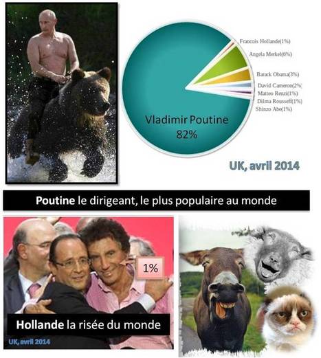 Poutine : populaire jusqu'à l'ouest... Hollande, la risée du monde #russie | Informations | Scoop.it