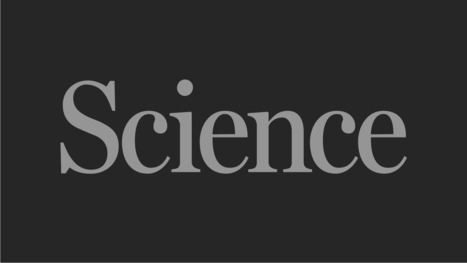Medications in addiction recovery&mdash;a clash of science and stigma | Substance Abuse | Scoop.it