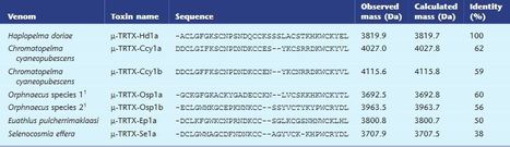 Les vertus anti-douleur du venin d'araignée : 7 composés identifiés | EntomoNews | Scoop.it