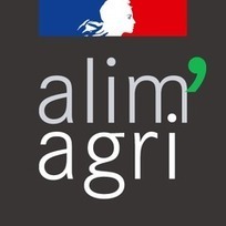 La délégation ministérielle du MAA au numérique | IA générative (IAg) et pédagogie | Scoop.it