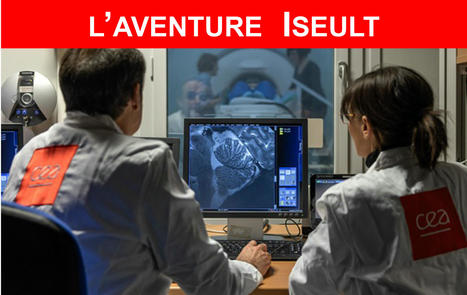 Fabrique de savoirs - Dans la tête d'Iseult | Life Sciences Université Paris-Saclay | Scoop.it