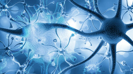 The Secret of Consciousness  | digisapiens v.1.0 | Scoop.it