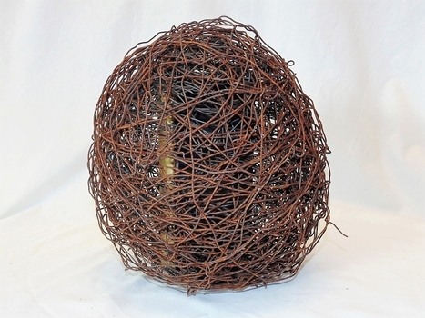 El CSIC convoca la vuitena edici&oacute; del certamen INSPIRACIENCIA 2018 | CRP Sant Mart&iacute; | Scoop.it