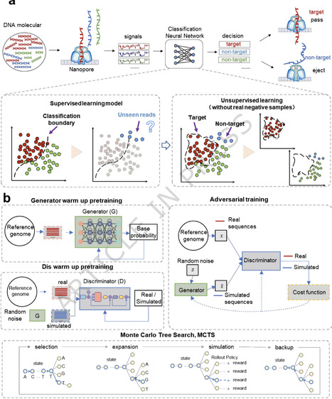 Genome-guided generative adversarial learning enables nanopore adaptive sequencing | Ncm | RMH | Scoop.it