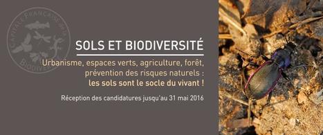 Capitales Françaises de la Biodiversité | | Biodiversité | Scoop.it