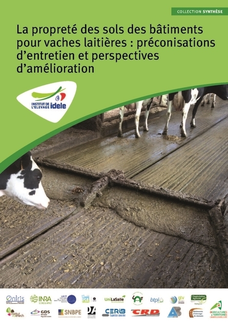 La propreté des sols des bâtiments pour vaches laitières : préconisations d'entretien et perspectives d'amélioration - Idele | Lait de Normandie... et d'ailleurs | Scoop.it