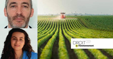 Agriculture et environnement : retour sur l'année 2024-2025 | SCIENCES DU VEGETAL | Scoop.it