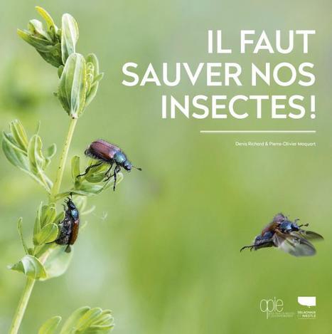 Denis Richard et Pierre-Olivier : Il faut sauver nos insectes | Opie & Delachaux et Niestlé | Histoires Naturelles | Scoop.it
