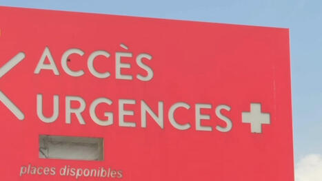 Douleurs intenses du pharynx, intoxications graves... Les autorités alertent sur la consommation d'asperges des bois | Toxique, soyons vigilant ! | Scoop.it