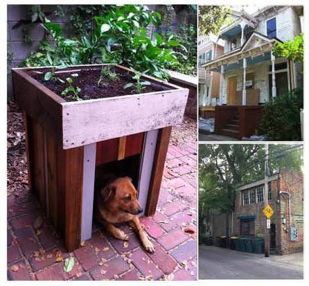 Dog house with a rooftop garden | 1001 Recycling Ideas ! | Scoop.it