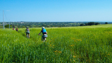 Visiter la Sicile et Malte à vélo | GREENEYES | Scoop.it