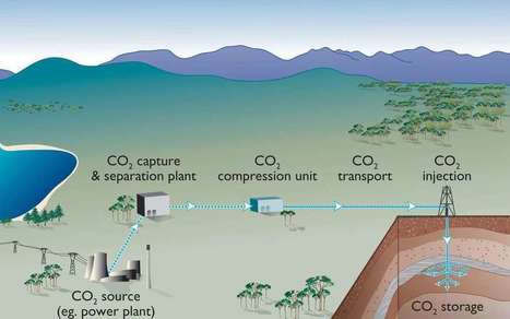 S&eacute;questration du CO2 : une d&eacute;couverte capitale | Home | Scoop.it